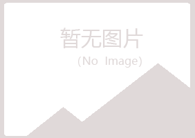 琼山区伤口冶炼有限公司